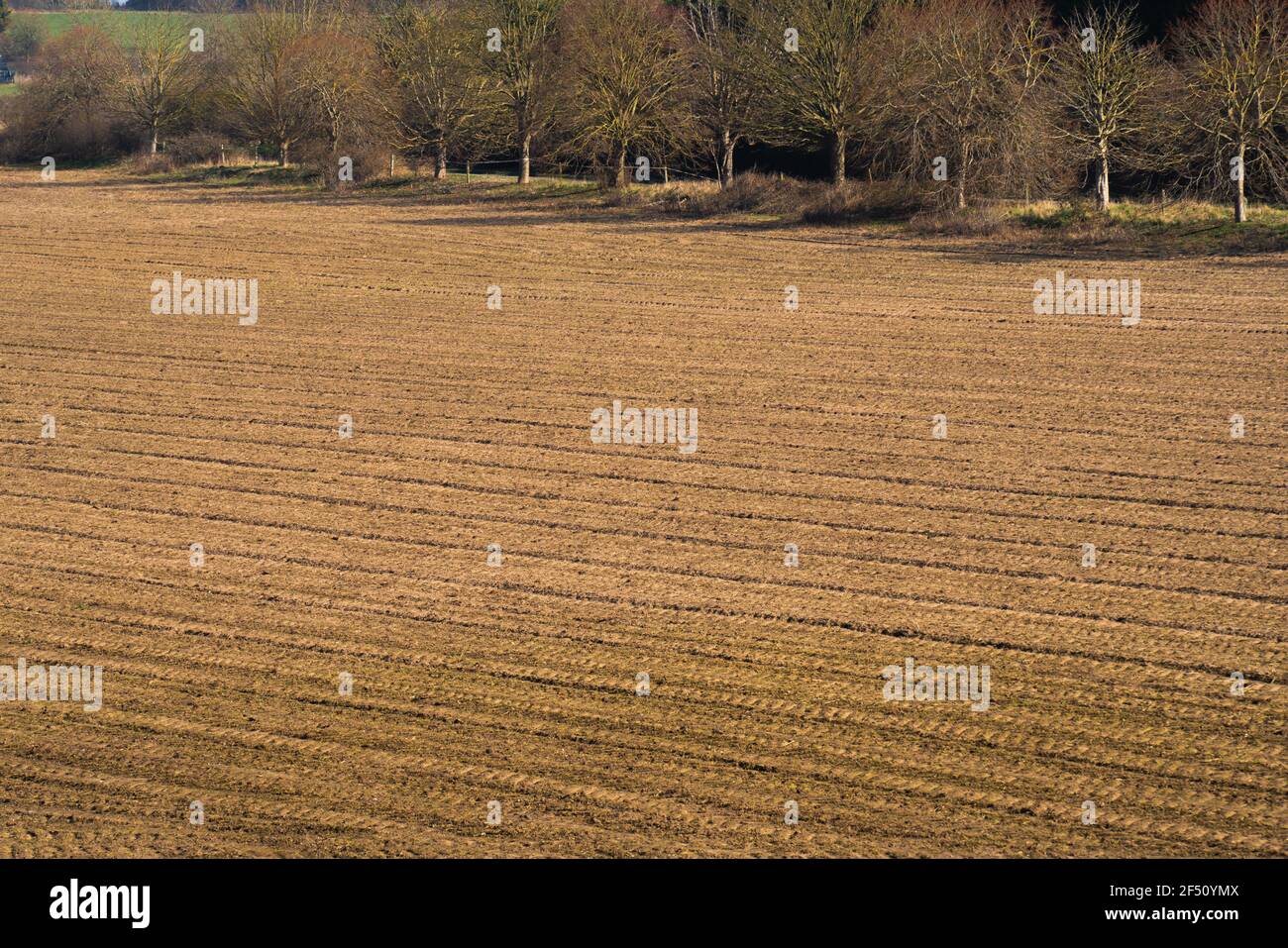 Ploughed field, patterns, straight furrows, ground, seedbed, soil, sown, tilled, farming, artistic lines, planting, cultivation, ploughing, seed lines Stock Photo