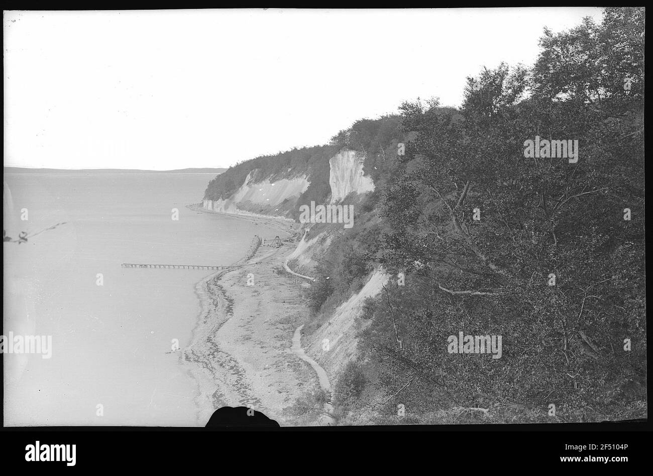 Stallion. Chalk cliffs at Sassnitz Stock Photo Alamy