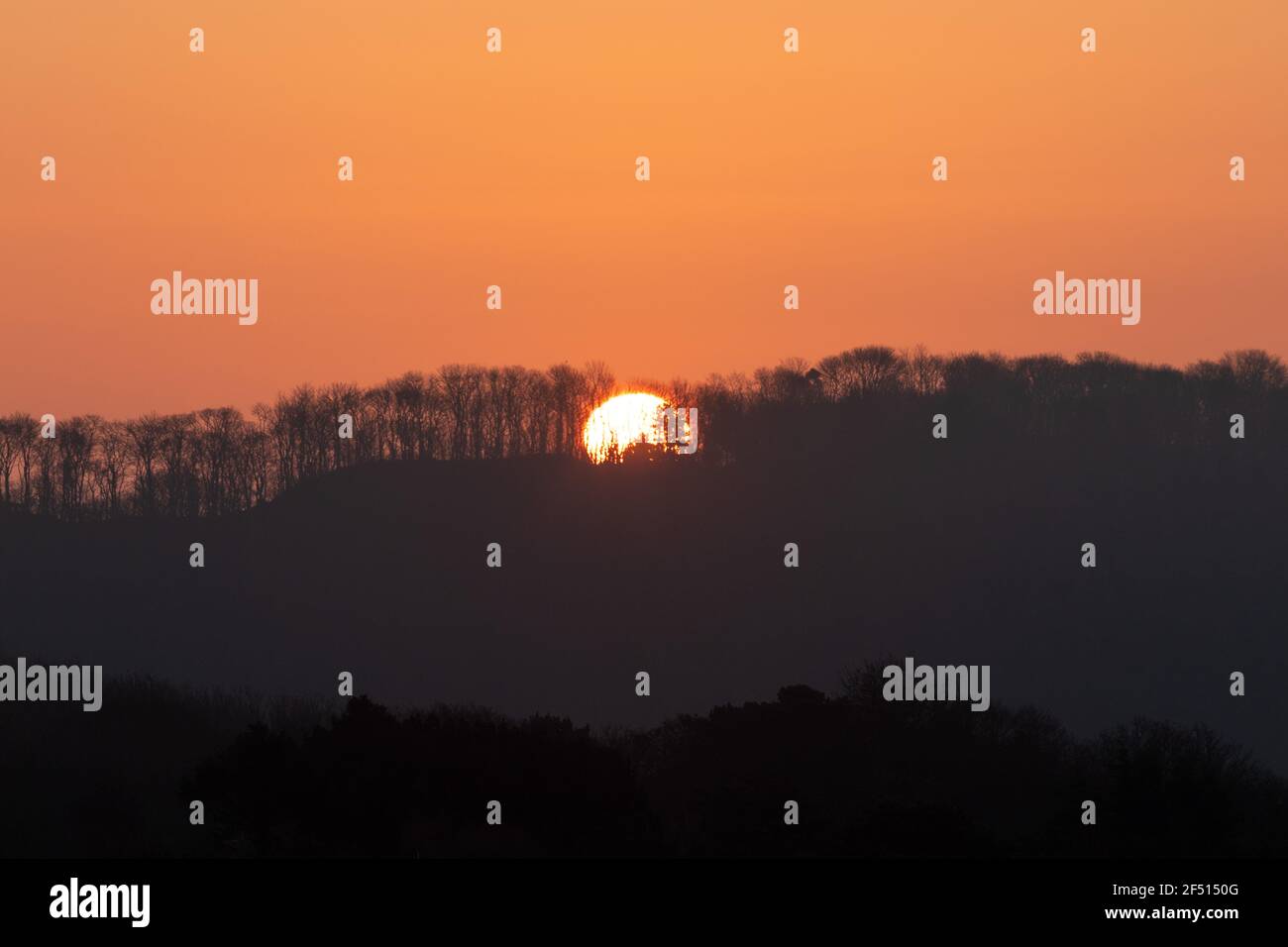 the sun rising over a tree-line Stock Photo