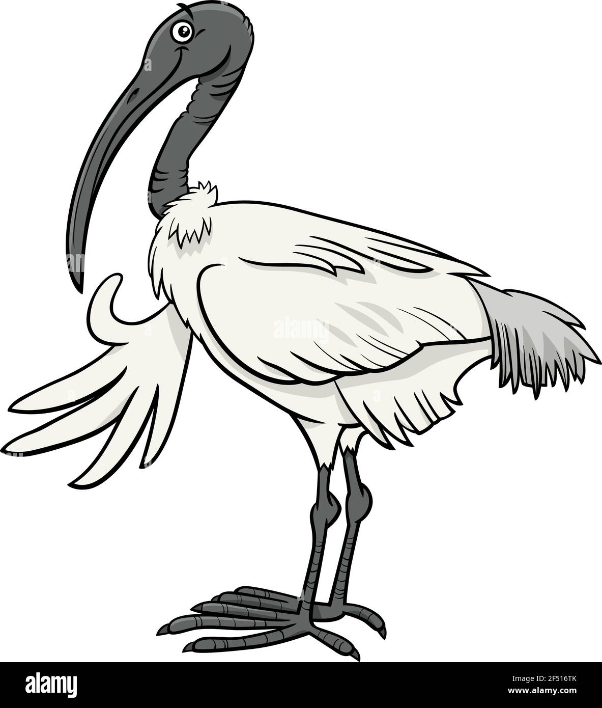 Cartoon illustration of funny ibis bird animal character Stock Vector