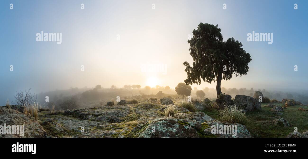 Diffuse Landscape Illuminated right foreground hi-res stock photography and images - Alamy