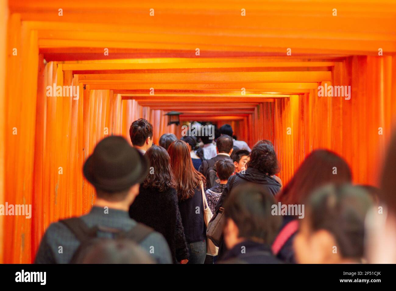 It is said that there are about 10,000 torii lining this road up the mountain to the main shrine building Stock Photo