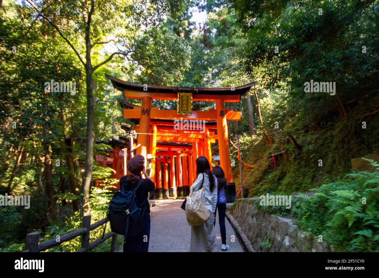 Fushimi Inari Taisha Shrine's Senbon Torii Gates Stock Photo