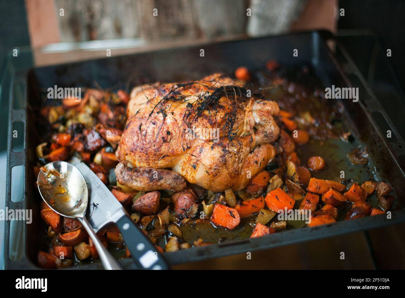 Homemade roast chicken with mixed vegetables and thyme on roasting tin, fresh from the oven Stock Photo
