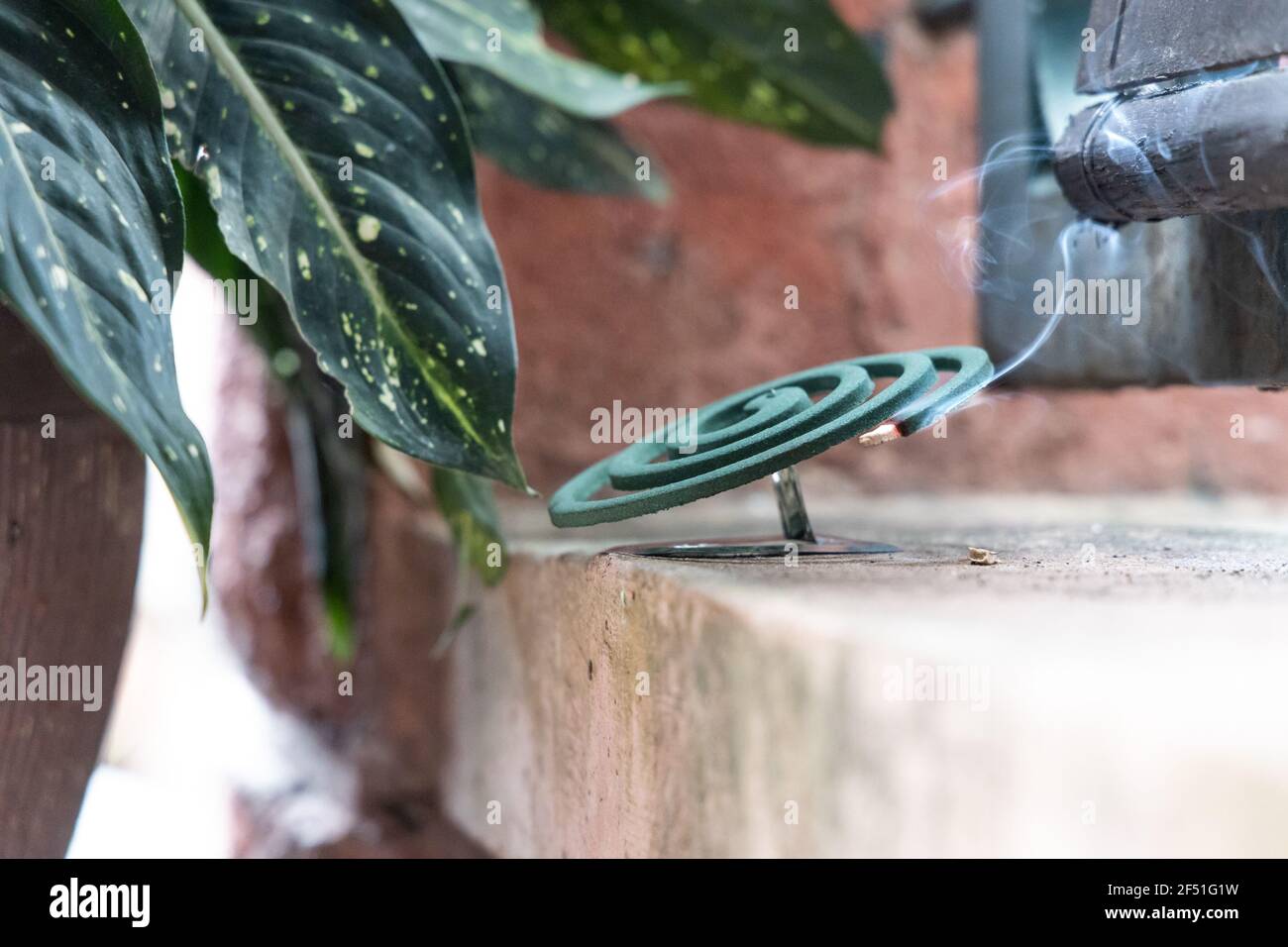 Traditional mosquito repellent coil emit smoke to repel mosquito