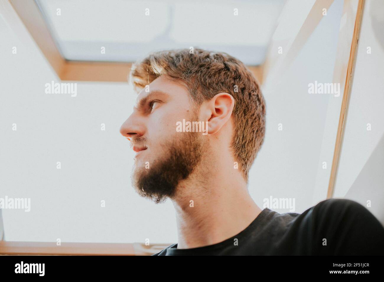 Portrait of a handsome man with blond hair looking away under the sunlight Stock Photo
