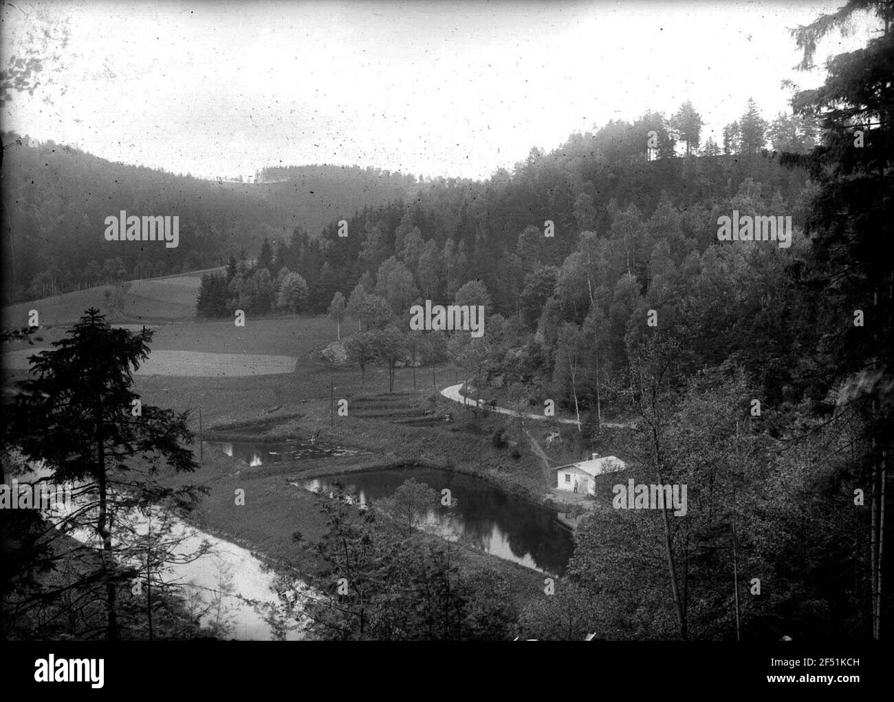 Peaceful ponds Black and White Stock Photos & Images - Alamy