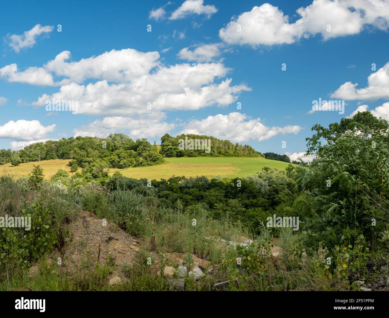 Scenic landscape photo taken in Washington County in Southwest Pennsylvania  in the summer, with a rolling hill full of green grass and trees and a bri  Stock Photo - Alamy