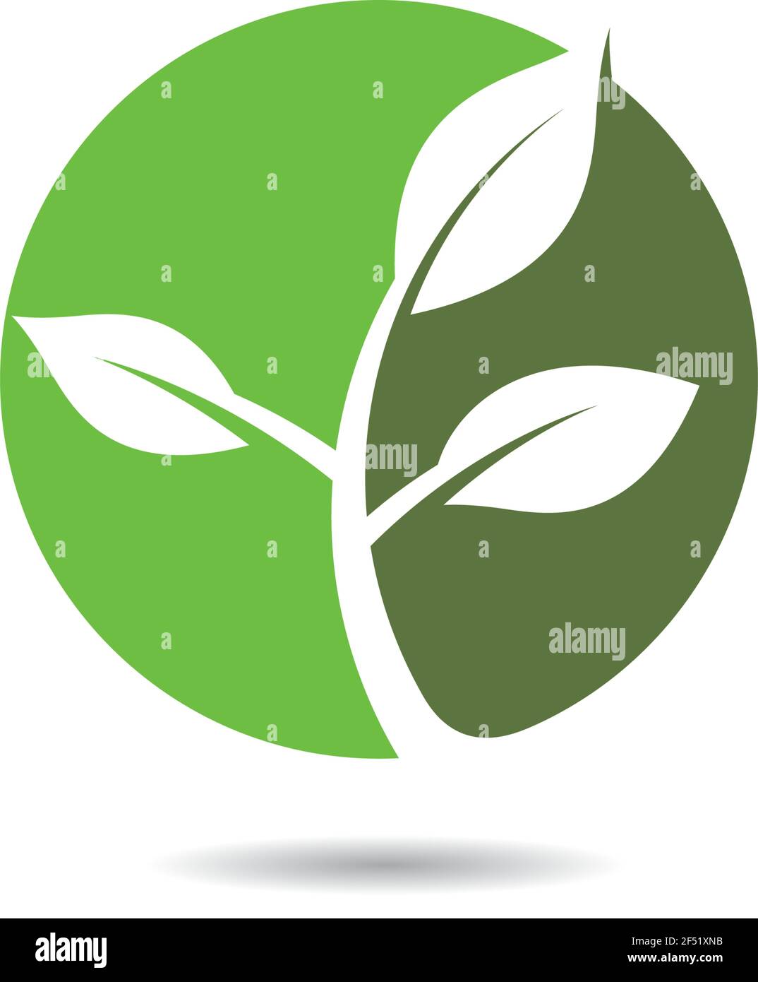Logos of green leaf ecology nature element vector icon Stock Vector ...