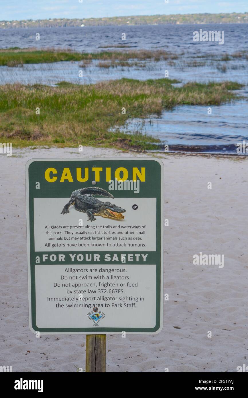 Alligator Danger Sign for Lake Louisa in Clermont, Lake County, Florida