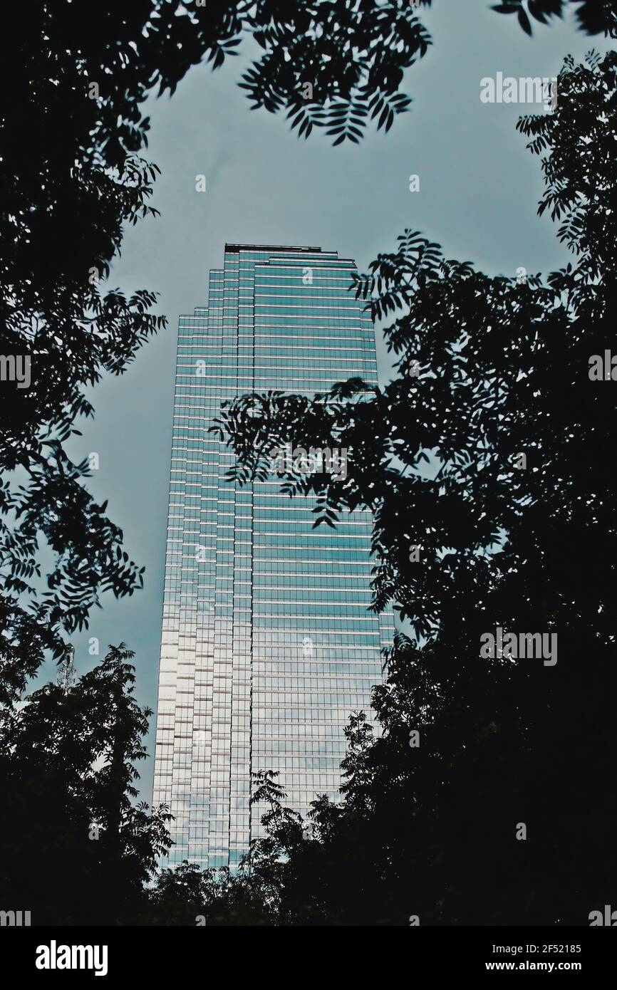 Dallas, TX, USA - 09 05 2020: The Bank of America Plaza seen through a gap between trees in downtown Dallas Stock Photo