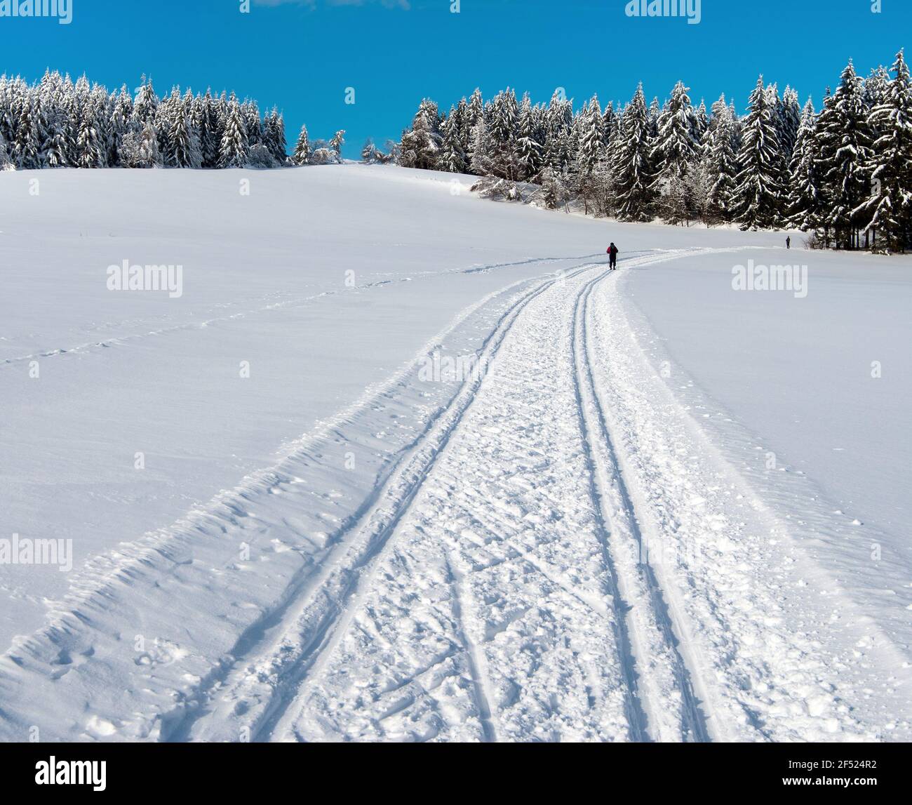 wintry landscape scenery with modified crosscountry skiing way Stock Photo