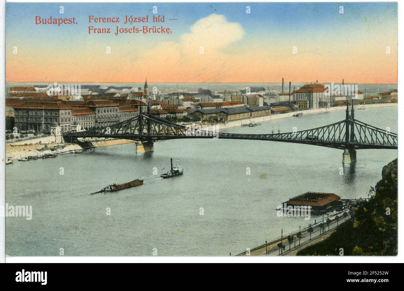 Franz Josefs Bridge with trailing train Budapest. View from the Gellert