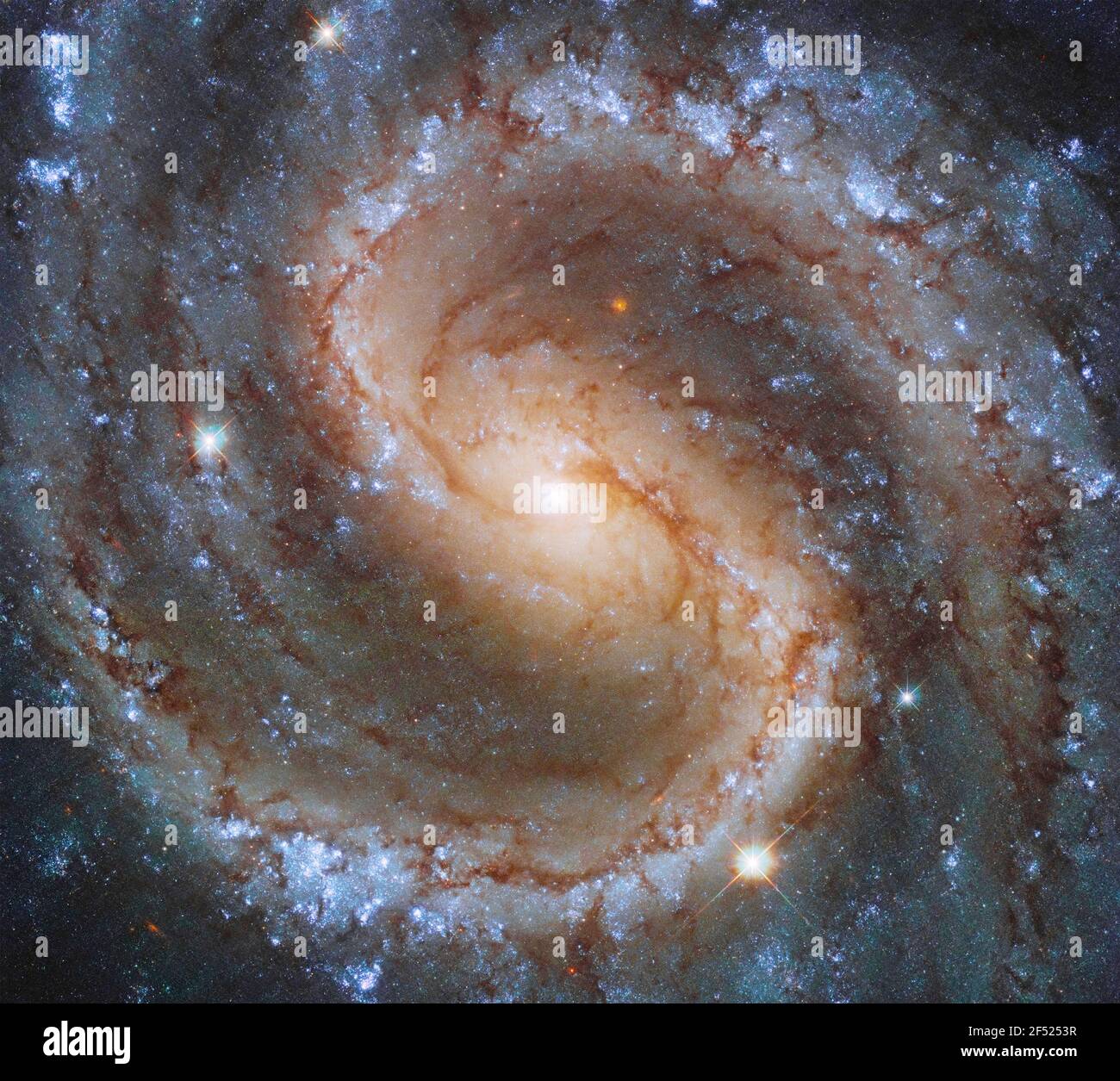 50 million light-years from Earth in the constellation Virgo, Galaxy NGC 4535 Stock Photo