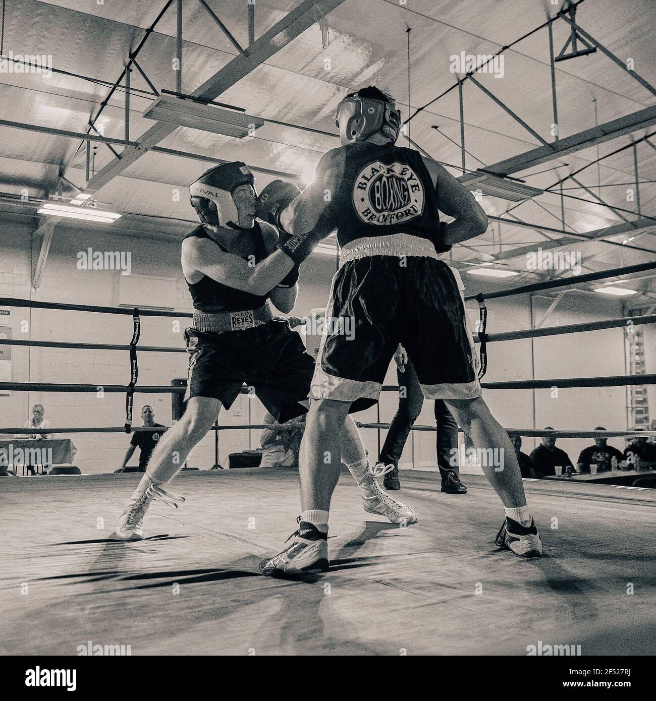 Boxing | DLGSC