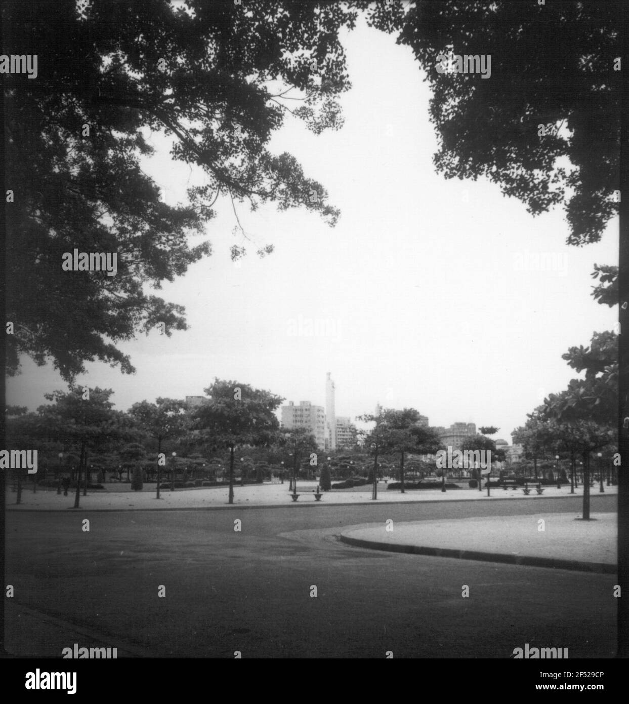 Travel photos Brazil. Park Stock Photo