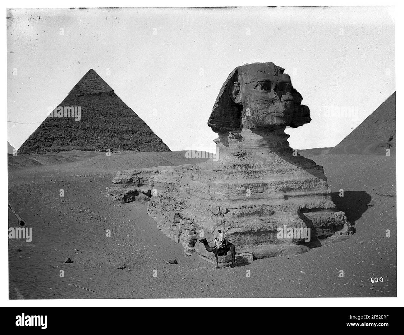 Sphinx of Chephar Pyramid and Cheops Pyramid in Giza Stock Photo - Alamy