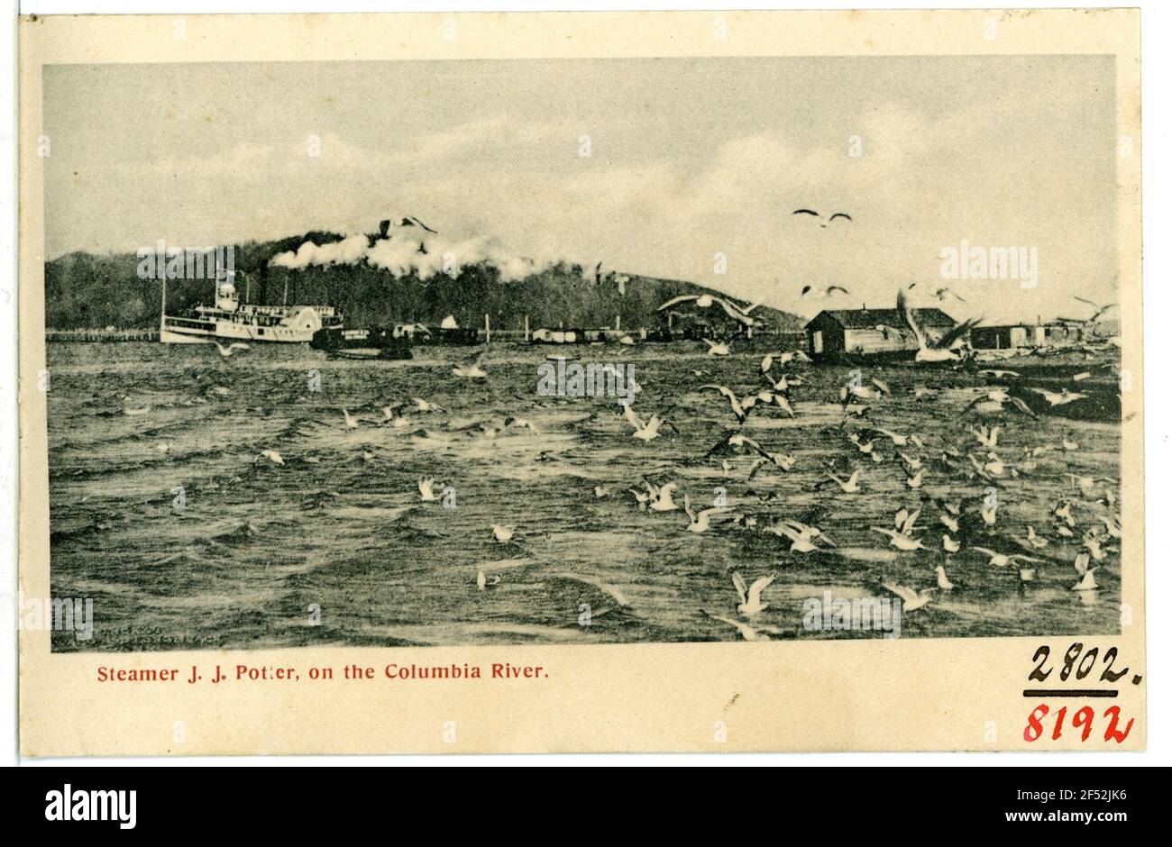 Steamer J. J. Potter on the Columbia River Nordamerika. Steamer J. J. Potter, on the Columbia River Stock Photo