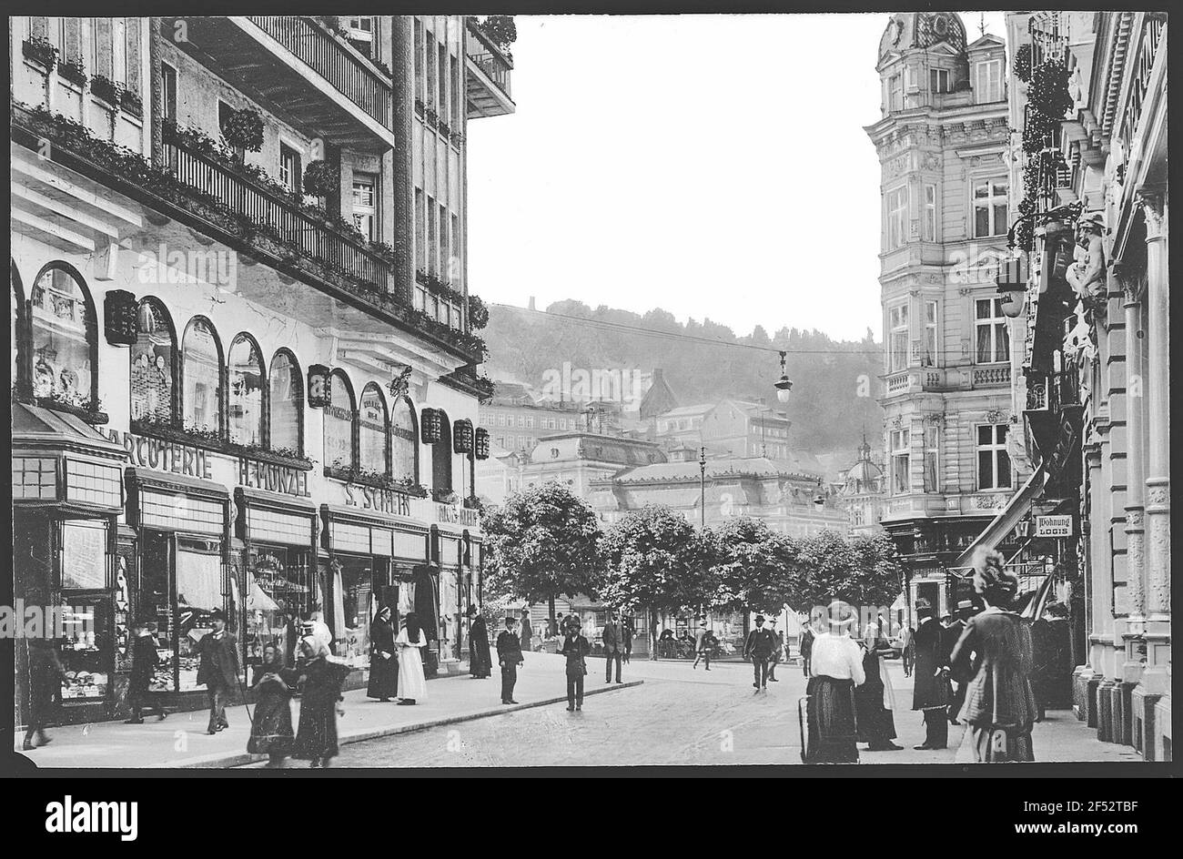 Carlsbad. Entrance to the old meadow Stock Photo Alamy