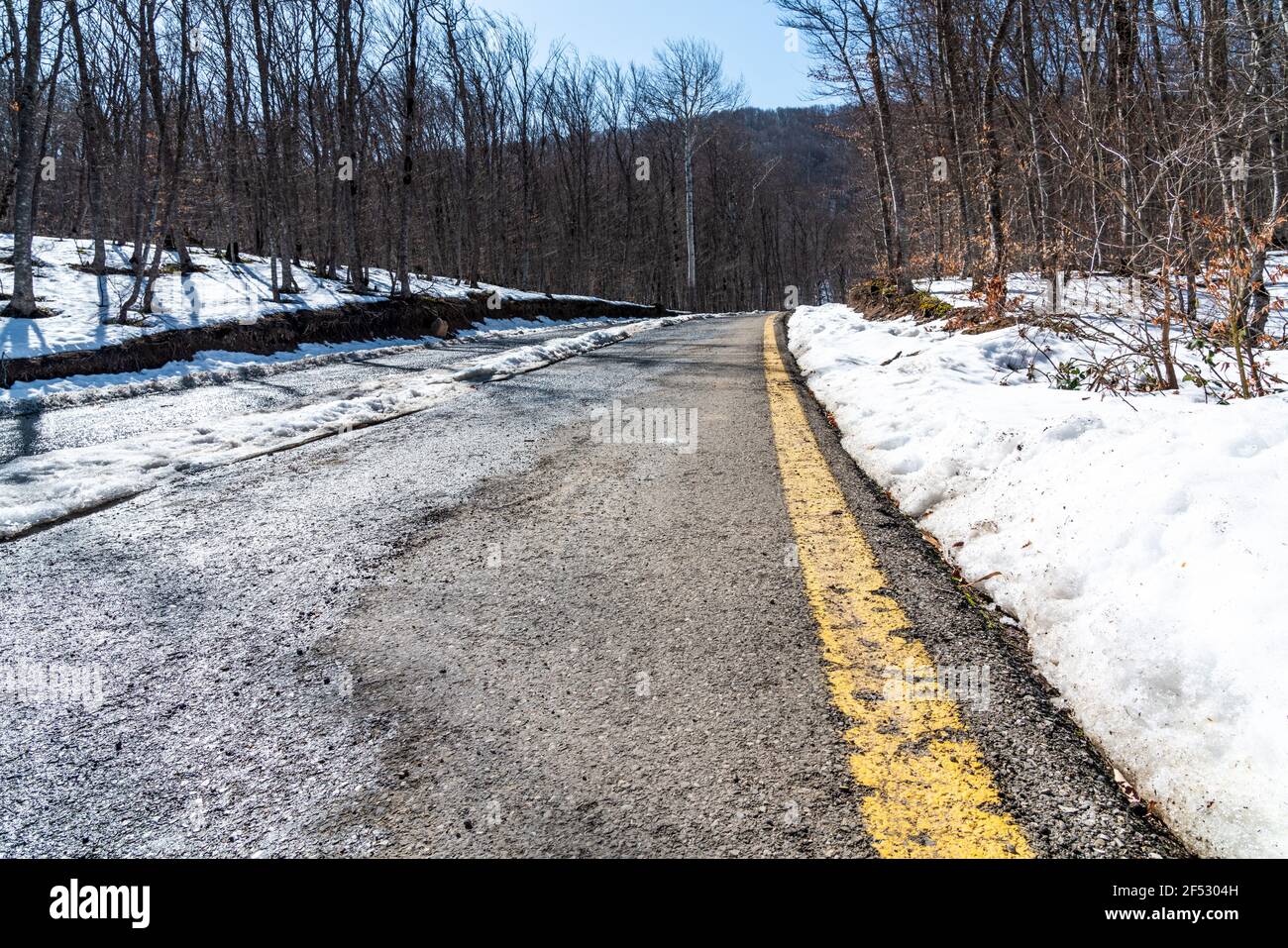 Asphalt road in forest hi-res stock photography and images - Alamy