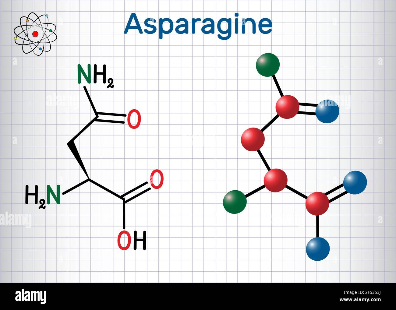 Asparagine (L-asparagine , Asn, N) amino acid molecule. It is is used in the biosynthesis of proteins.  Sheet of paper in a cage. Structural chemical Stock Vector
