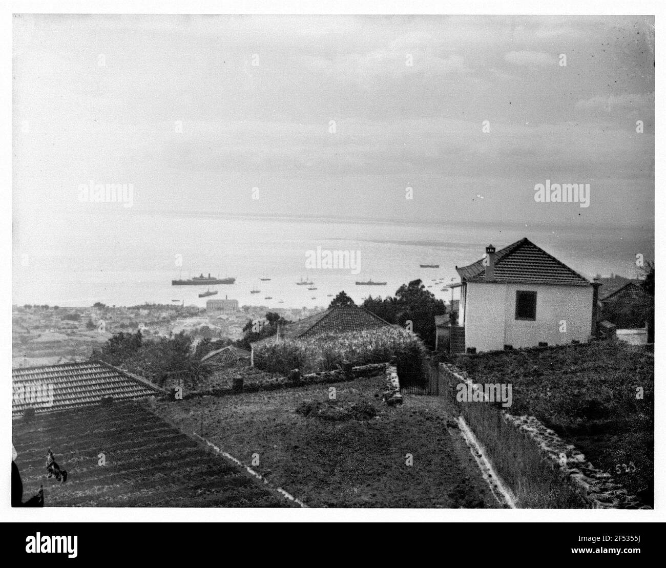 From madeira Cut Out Stock Images & Pictures Alamy