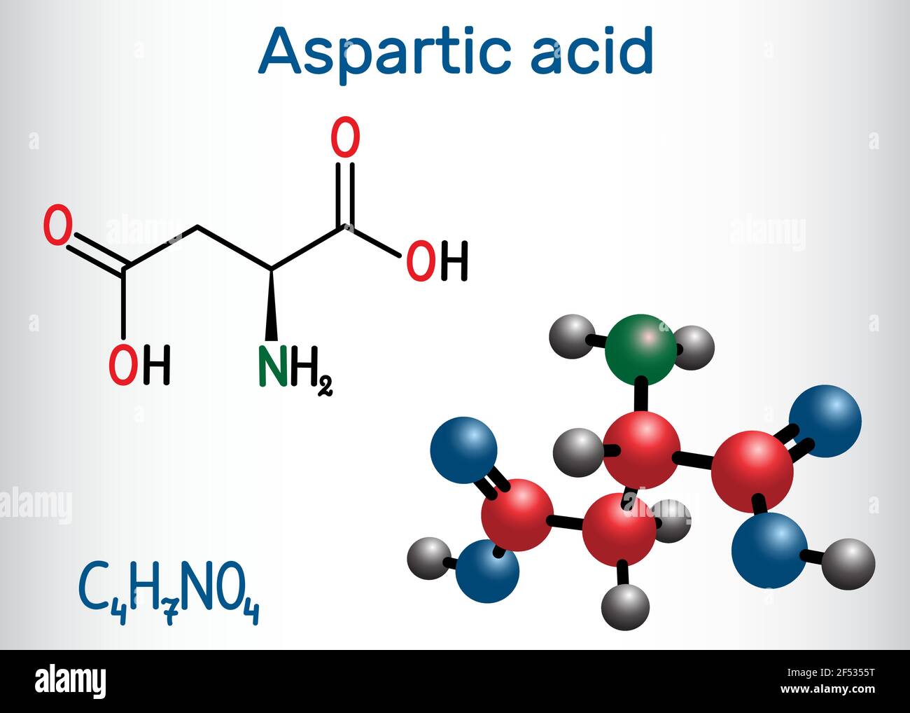 Aspartic acid (L- aspartic acid, Asp, D, aspartate) proteinogenic amino acid molecule.  Structural chemical formula and molecule model. Vector illustr Stock Vector