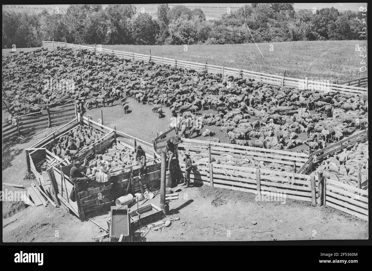 Pendleton, Oregon. Stock Ranch Stock Photo Alamy
