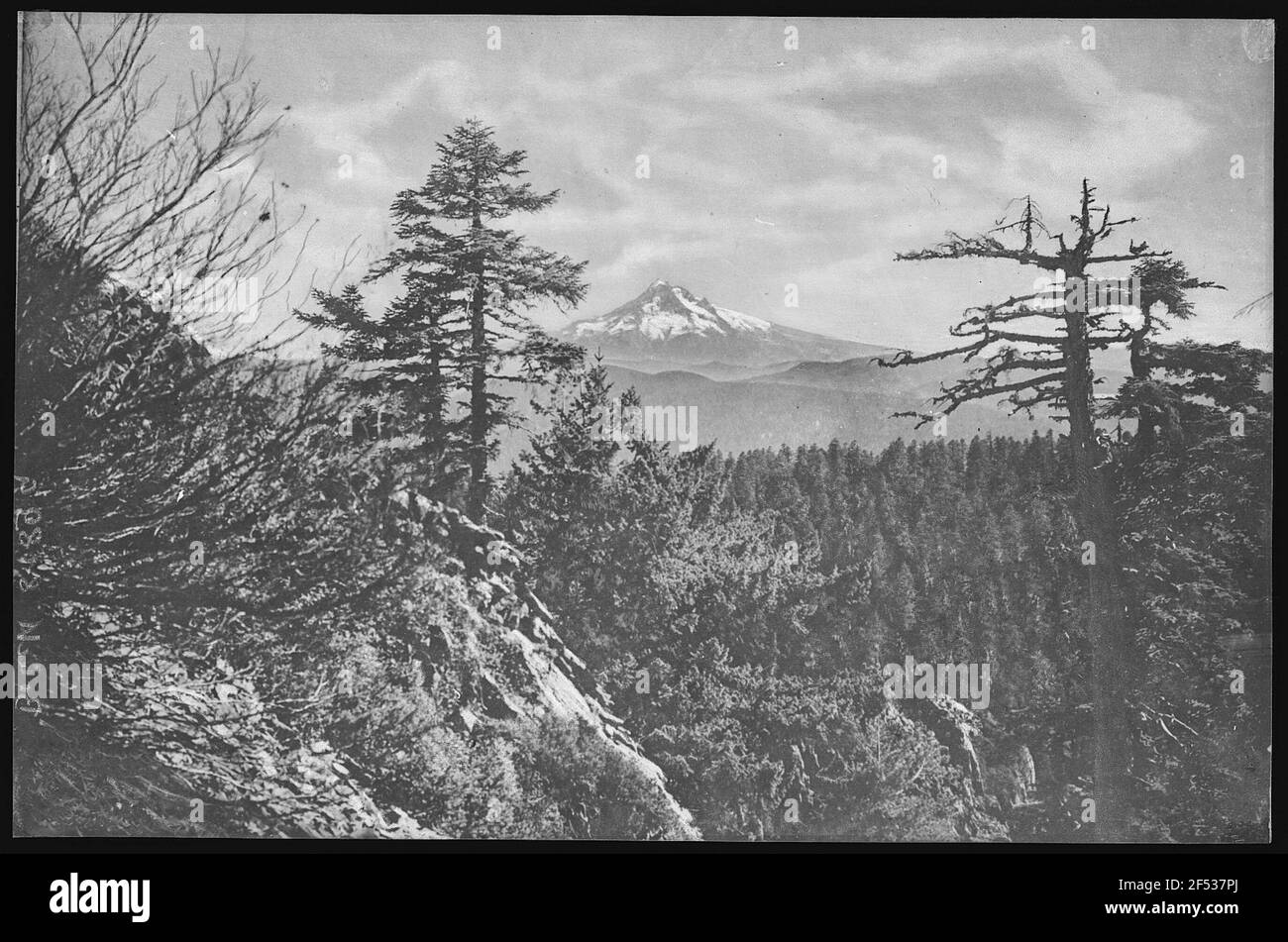 Oregon. Mt. Hood Stock Photo Alamy