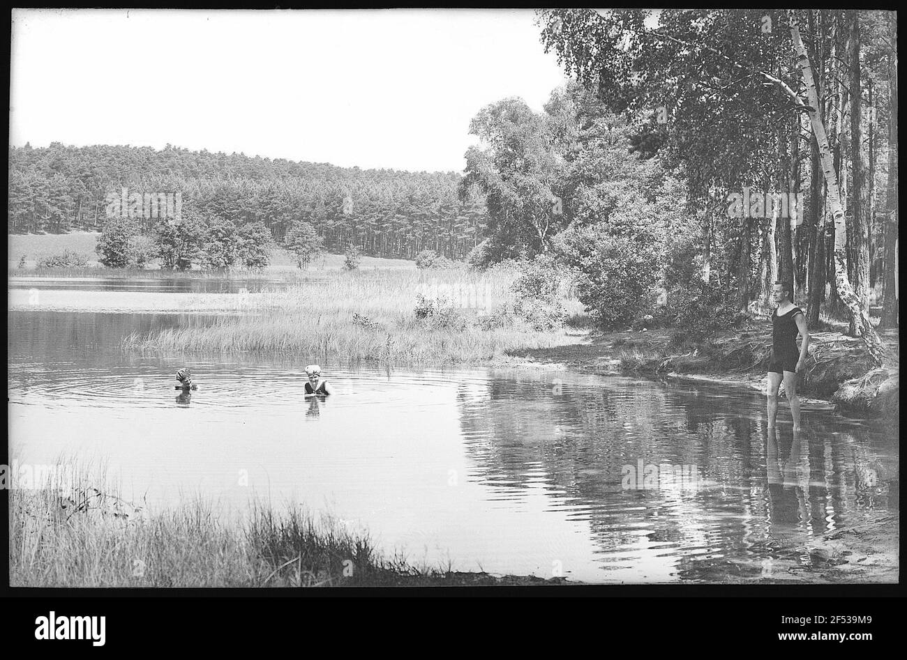 Forest and pond Black and White Stock Photos & Images - Alamy