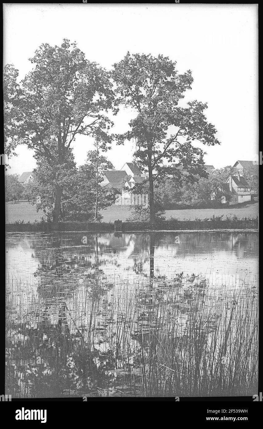 Old pond Black and White Stock Photos & Images - Alamy