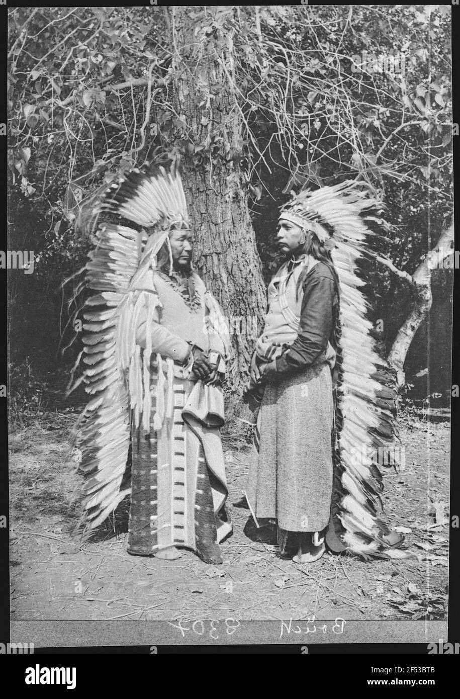 Pendleton, Oregon. Umatilla Indian Warriors Stock Photo Alamy