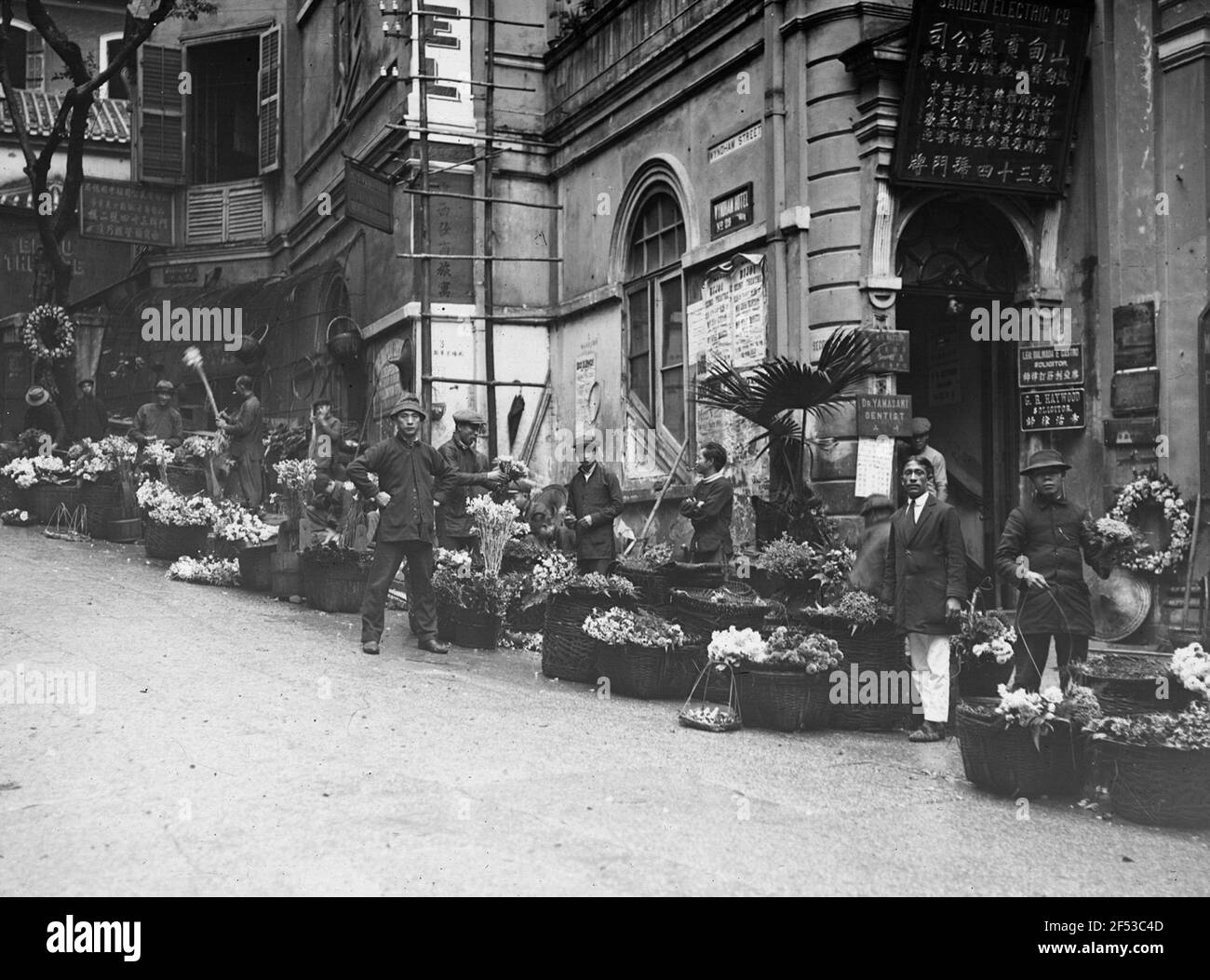 Flower market in Hong Kong Stock Photo Alamy