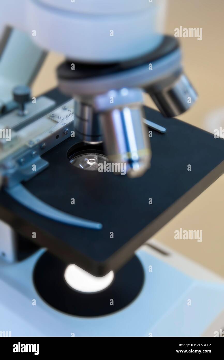 Compound Microscopes or biological microscope used in laboratories, schools, wastewater treatment plants, veterinary offices, and for histology and pa Stock Photo