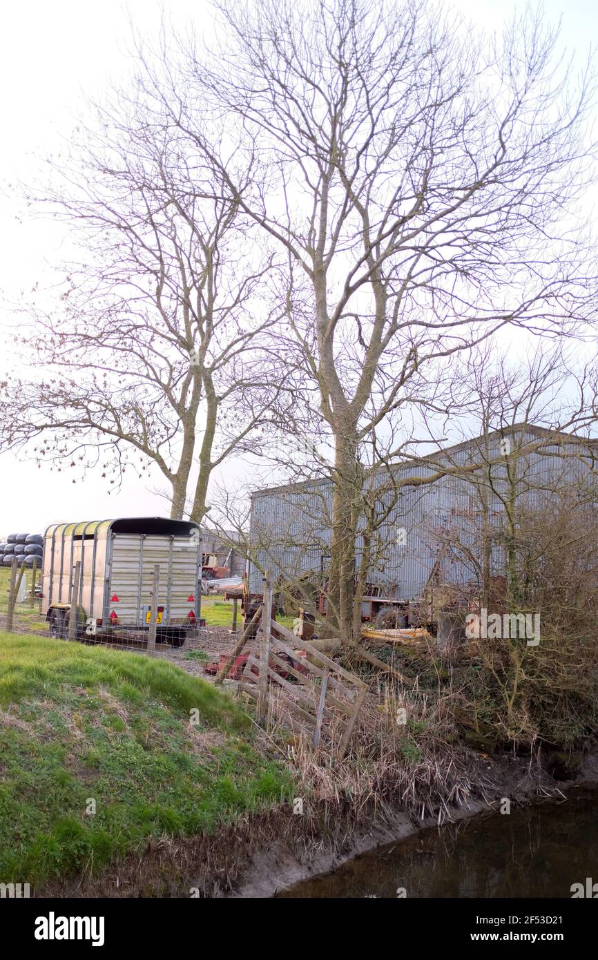 Untidy farmyard hi-res stock photography and images - Alamy
