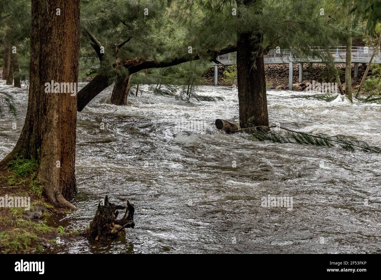 Canberra, ACT, Australia, 24 Mar 2021. The Cotter River Reserve is