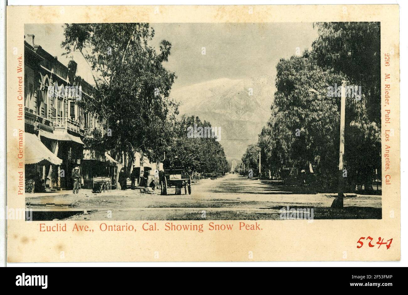 Euclid Ave, Ontario, Ca. Showing Snow Peak Ontario. Euclid Ave., Ontario, Ca. Showing Snow Peak