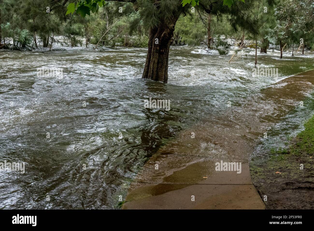Canberra, ACT, Australia, 24 Mar 2021. The Cotter River Reserve is
