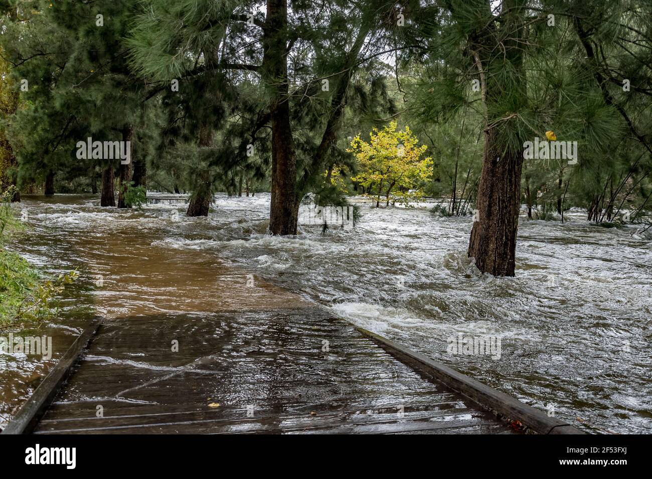 Canberra, ACT, Australia, 24 Mar 2021. The Cotter River Reserve is
