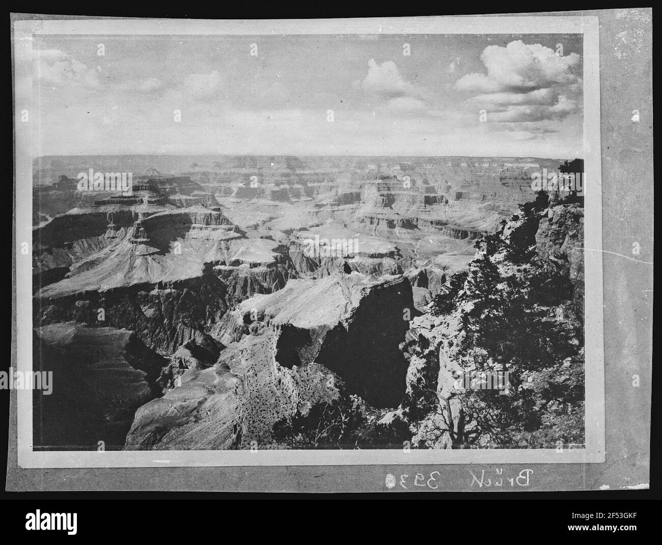 Grand Canyon. From Rowes Point Stock Photo Alamy