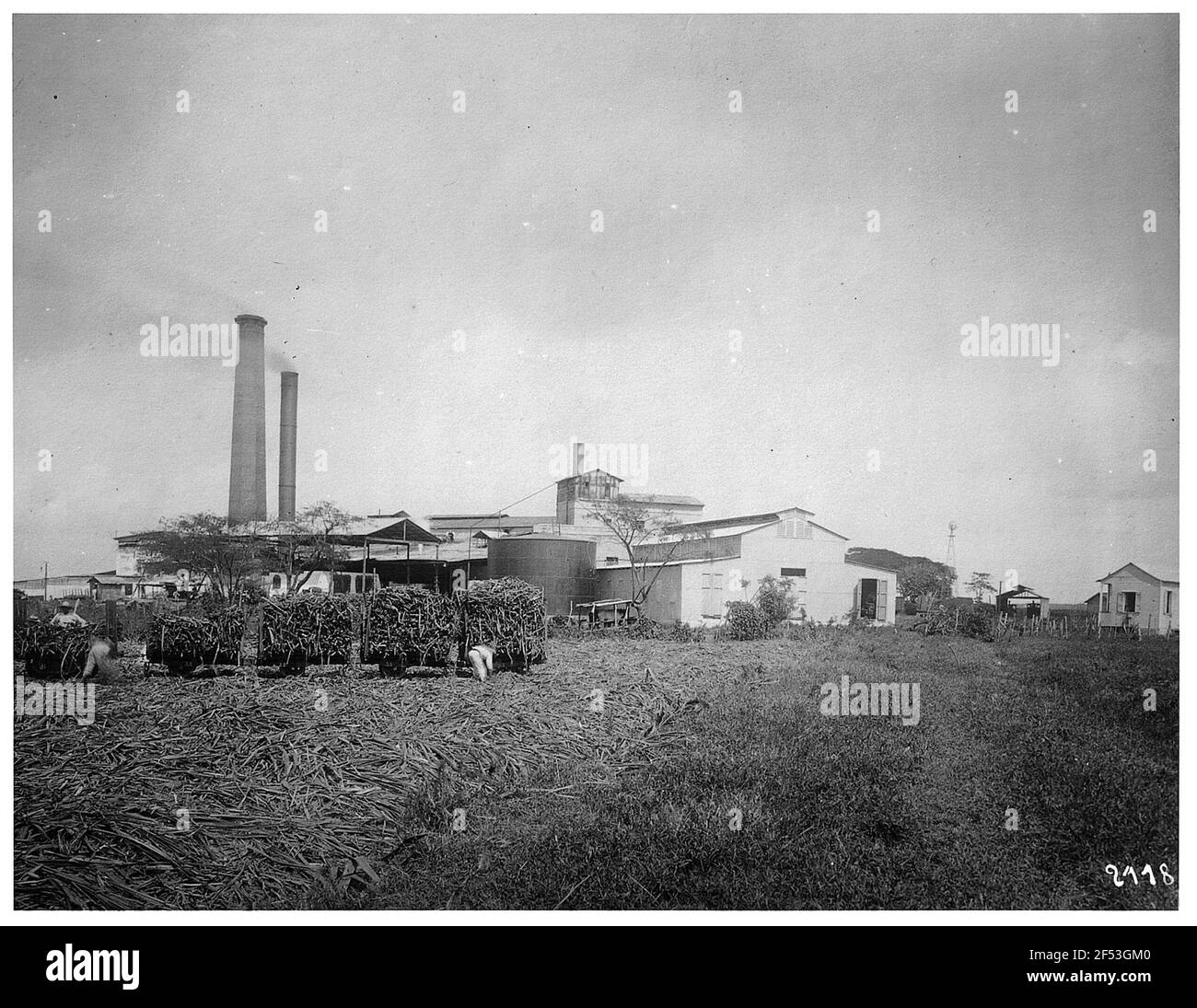 Barbados. Farmers in field work in front of a sugar factory Stock Photo