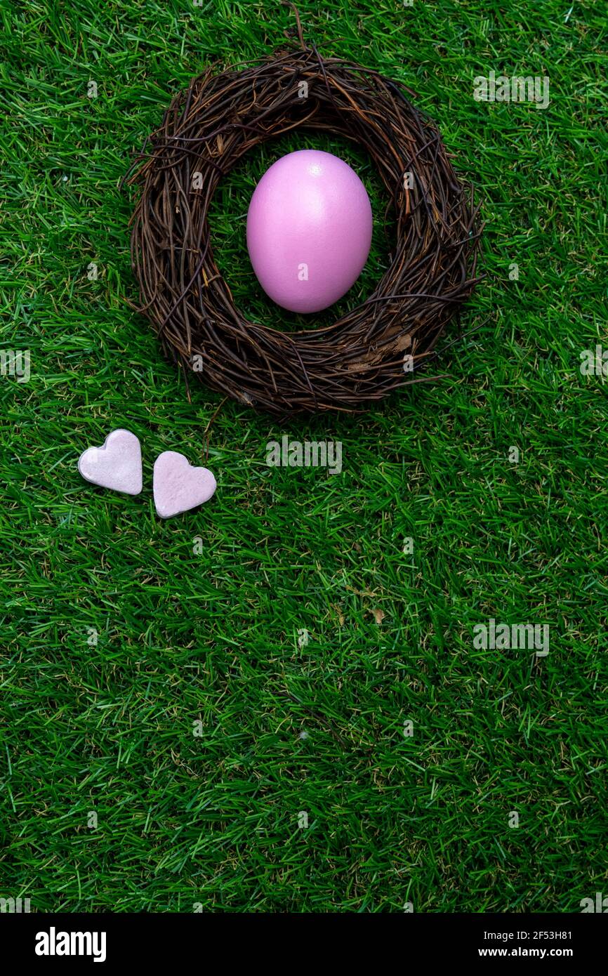 Bird nest with a Easter egg on green grass with pink tulips Stock Photo ...