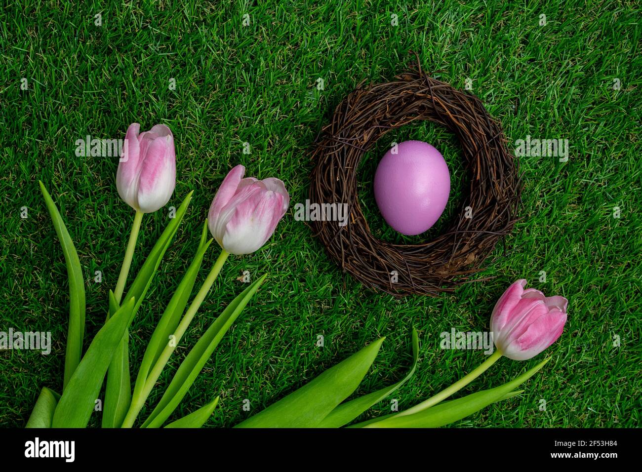 Bird nest with a Easter egg on green grass with pink tulips Stock Photo ...