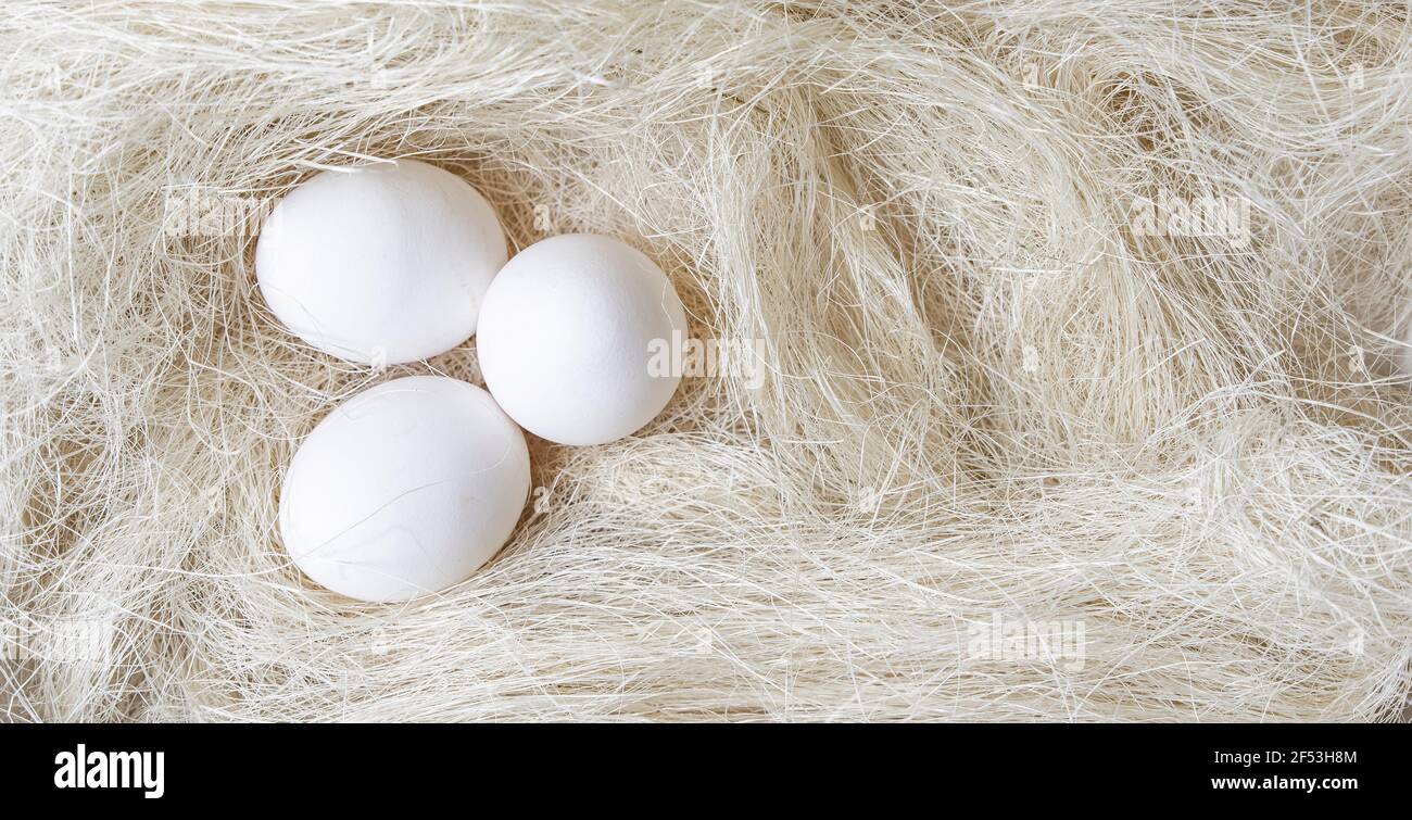 Banner Three eggs in chicken nest with white straw Stock Photo