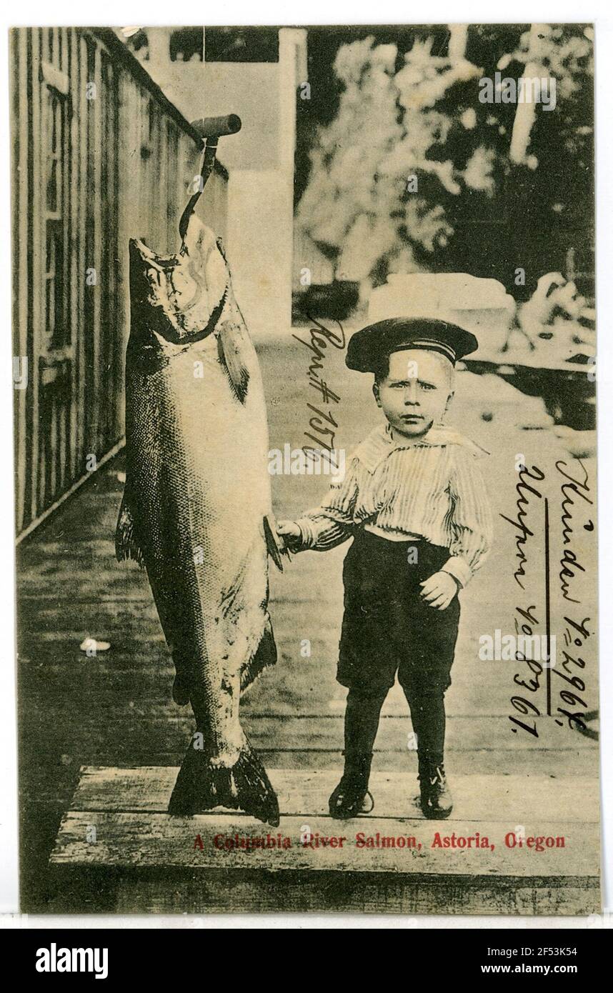 illustration de pêche au saumon vintage pour logo, emblème, mascotte ou