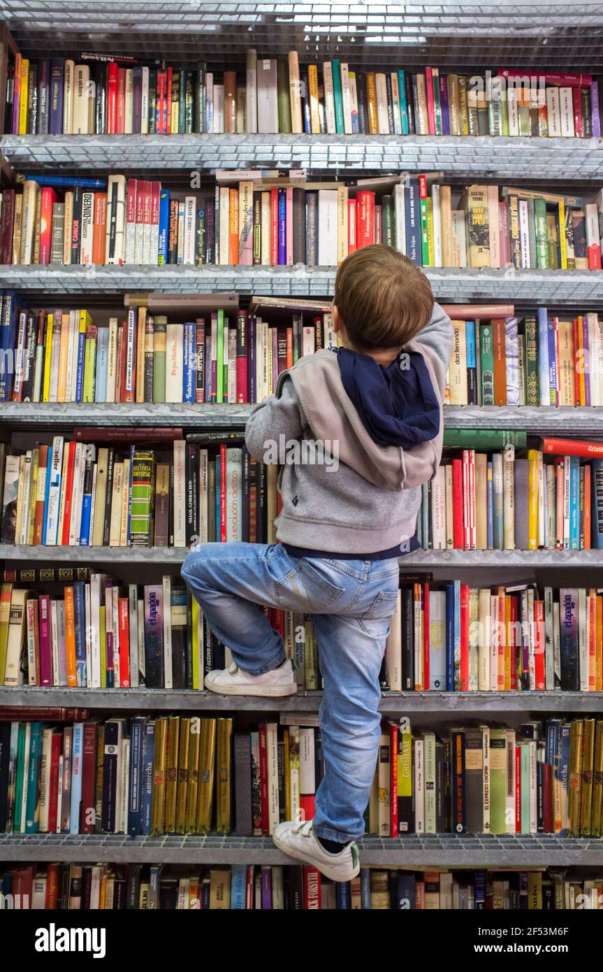 Child boy climbing bookshelves at second hand book bookshop. Encourage good reading habits in kids Stock Photo