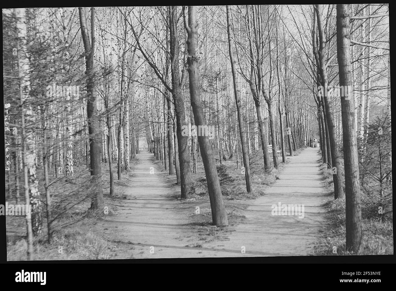 City park scenery Black and White Stock Photos & Images - Alamy
