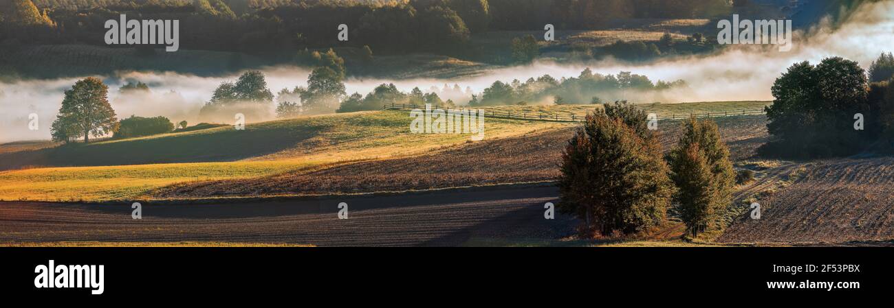 foggy morning in the Suwałki Lake District in north-eastern Poland Stock  Photo - Alamy