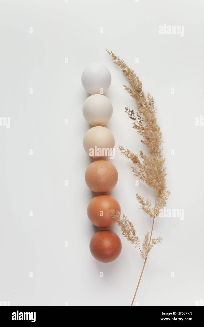 Different brown colors eggs with bent on white background. Color