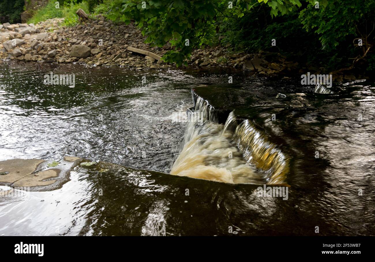 A small waterfall in woodland on the River Wear, Weardale, the North Pennines, County Durham, UK Stock Photo